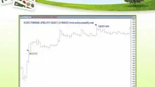 Single Target Calls In Ncdex Commodity :  25 Mar 2013