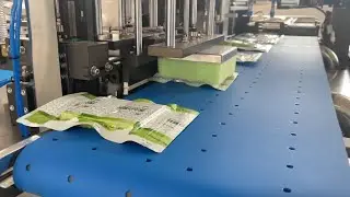 Compressed Bar Biscuit Vacuum Bagging Machine | Vtops Solutions