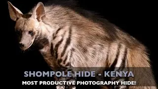 SHOMPOLE HIDE PHOTOGRAPHY - KENYA