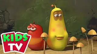 Larva Svampe Årstider Episoder Og Tegneserie Videoer Til Børn