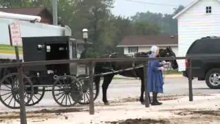 The Amish--A Dedicated People