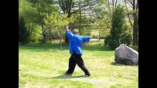 WuDang 5 Animal QiGong
