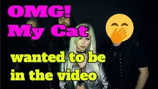 Zelda the cat was not here ! - Absinthe Green