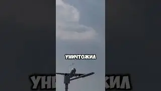 Сумасшедший кадр самолёт сбил косяк птиц уничтожил птичек #сво #вкс #новости