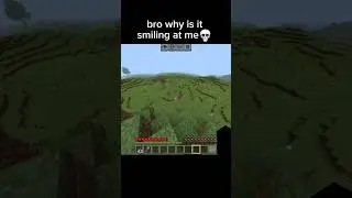 Minecraft Smile Moment🤯 #shorts