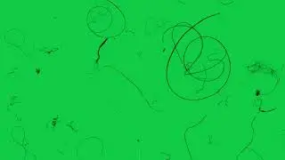 Aesthetic Overlay Green Screen | VHS | old film grain overlay | Hairs | Crazy amount of Hairs