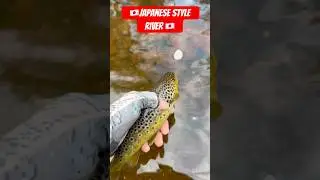 🇯🇵JAPANESE STYLE RIVER🇯🇵поймал-отпустил ☝🏻💪🏻❤️ #suzume #fishing #japan #trout