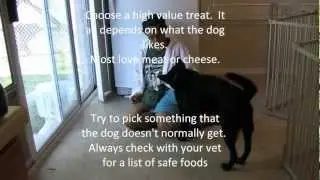 Desensitization and Counter Conditioning