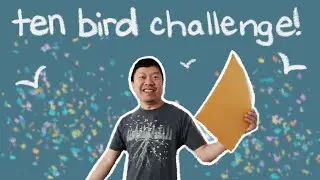 I Bird NY Challenge | Flora & Fauna Wildlife Photography