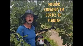 Qual o Melhor 