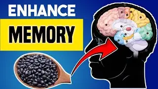 What Psychologists Eat for Optimal Brain Performance