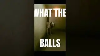 WHAT THE BALLS