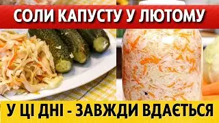 СМАКОТА! Лютий 2026 – коли солити та квасити капусту за місячним календарем