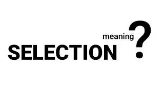 Selection Meaning Definition | EWM-English Word Meaning