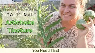 Make an Artichoke Tincture with Fresh Leaves from Your Garden | Herbalism Recipe
