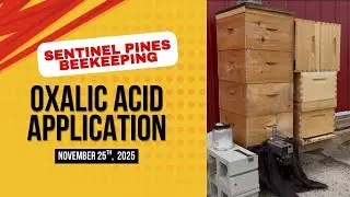 Oxalic Acid Application