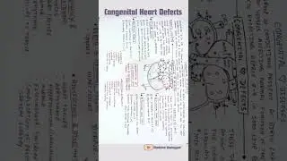 Congenital Heart Defects in one frame #congenitalheartdisease