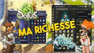 MON PATRIMOINE SUR LES JEUX ANKAMA ! DOFUS & WAKFU, PERSONNAGES/KAMAS/STUFFS !
