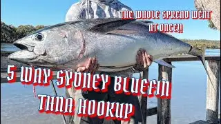5 WAY SYDNEY BLUEFIN TUNA HOOKUP