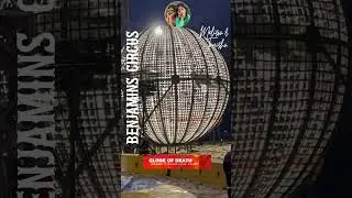Thrill-seekers Unite: Kids Witness Death-Defying Motorcycle Stunts at Circus!  #circus