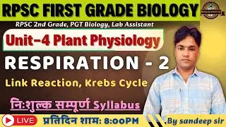 RPSC 1st Grade Biology 2025 | UNIT -IV | Plant Physiology | Respiration in Plants | Krebs Cycle