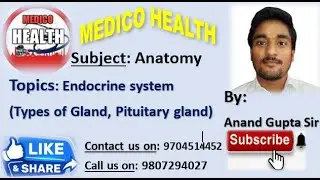 Endocrine system(Types of gland, Pituitary gland)