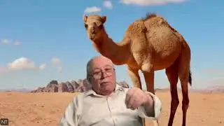 Deve mu’cizesinden sonra kaç kişi inandı?Cenda kim?