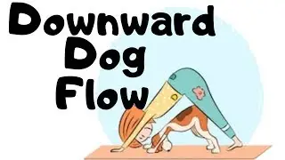 Downward Dog Mobility and Strength Routine
