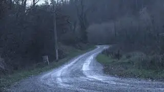 Hawkins Co. investigators identify homicide victim; search underway for murder suspect