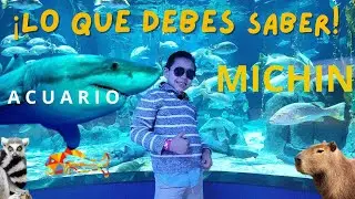 ¿Vale la pena el Acuario Michin? Te lo mostramos todo. Animales increíbles y experiencias únicas!!