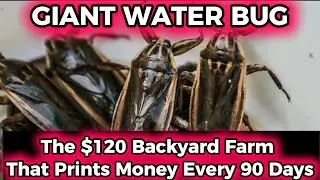 The $120 Backyard Farm That Prints Money Every 90 Days