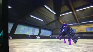 Isabella Wolfwill-Dressage