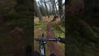 Singletrack flow! 🙏 #mtb #mtbpov #mtblife #gopromtb #mountainbike #mtbshorts