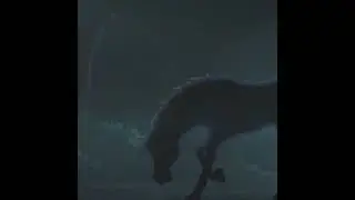 || Mistfall || Star Stable Online ||
