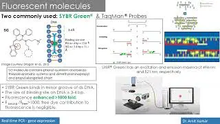 Realtime qPCR Part - 2