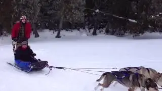 Dog Sledding at Camp Menogyn