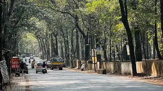 Nilamboor