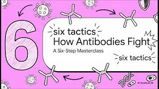 Constant Regions, Variable Outcomes: The Logic of Antibody Classes S02E06