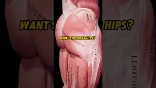 3 основных упражнения для сильных бедер!