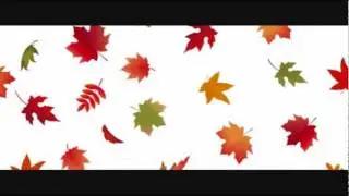 simple fern - 