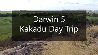 Darwin, Australia 5: Kakadu | Fogg Dam, Corroboree, Bowoli Cntr, Ubirr Art, Cathills, & Bark Hut Inn