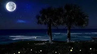 Moonlit Nature Night | Relaxing Music with Peaceful Natural Views