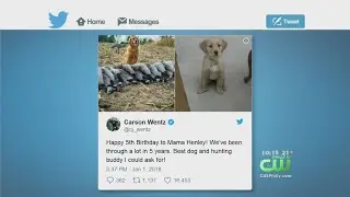 Carson Wentz Defends Hunting Photo Posted To Twitter