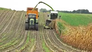 Mais hakselen 2016 | Claas Jaguar 840 | Axion 820 + Ares 816 RZ | Lagerweij | Overberg | NL.