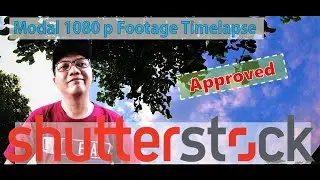 Shutterstock Approved Footage Clouds and Leaves