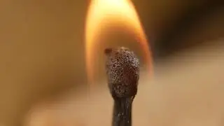 Ordinary Objects in Macro Satisfying video