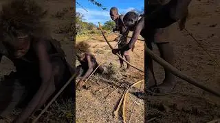 Wild Bush Tracking | Hadzabe Warrior Ends the Hunt Instantly.#shorts #viralvideo #wildlife