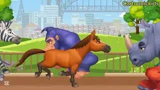 Wild Animals RACING Through the Amazon Jungle!