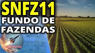 #snfz11 - Forma f&aacute;cil de se comprar terra