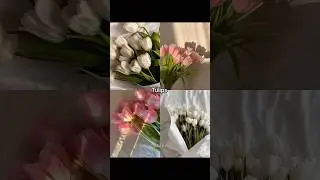 What's your favorite flower? 🌷🪻🌹🌻🌺 #aesthetic #flowers #trending #fyp #shorts